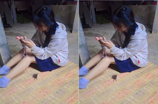 Quyến rũ bị cuốn hút đắm say rên rỉ thỏa thích